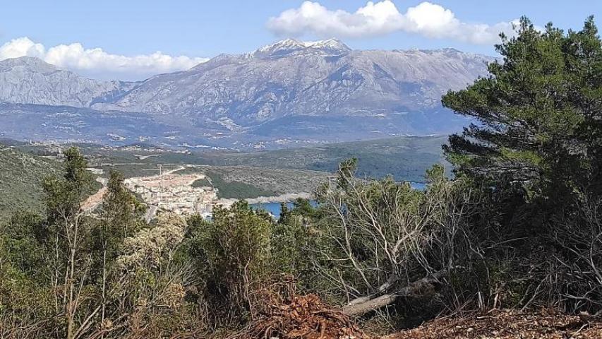 Prodaja, Plac, 0m2 , Luštica Bay