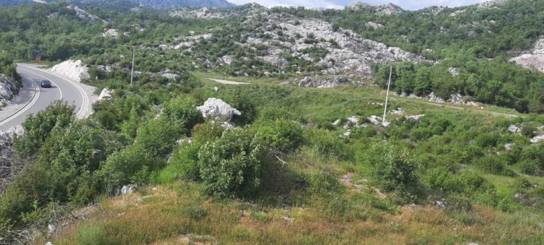 Land for sale in Cetinje 30. 000m2