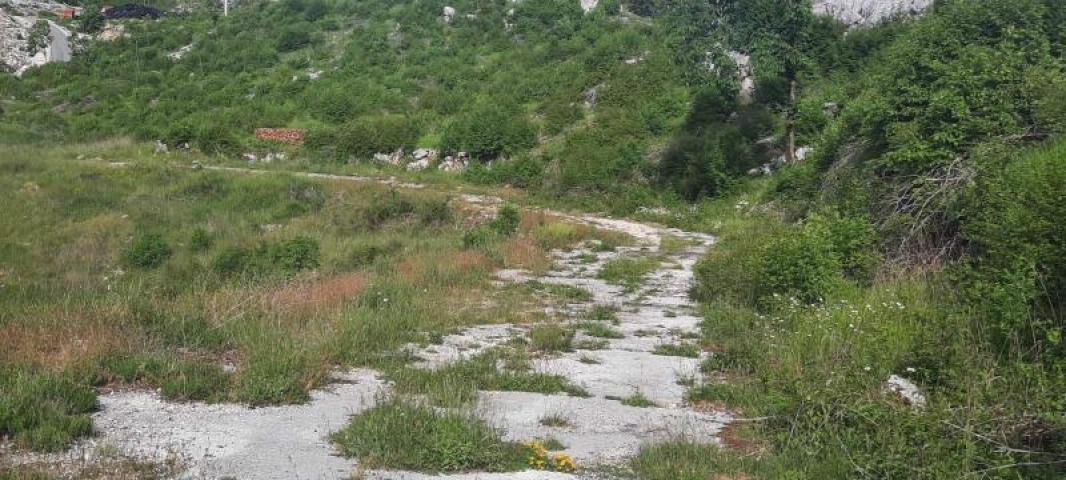 Land for sale in Cetinje 30. 000m2