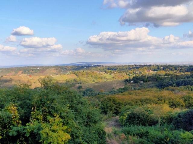 Plac 5000m Fruska gora Velika Remeta + vikend kuća 85m  TOP POGLED