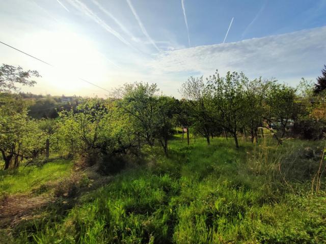 Građevinski plac 600m Popovica Staroiriški put TOP pogled