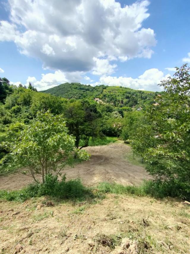 Građevinski plac 1490m Fruška gora Rakovac -Dolača za Vikendicu