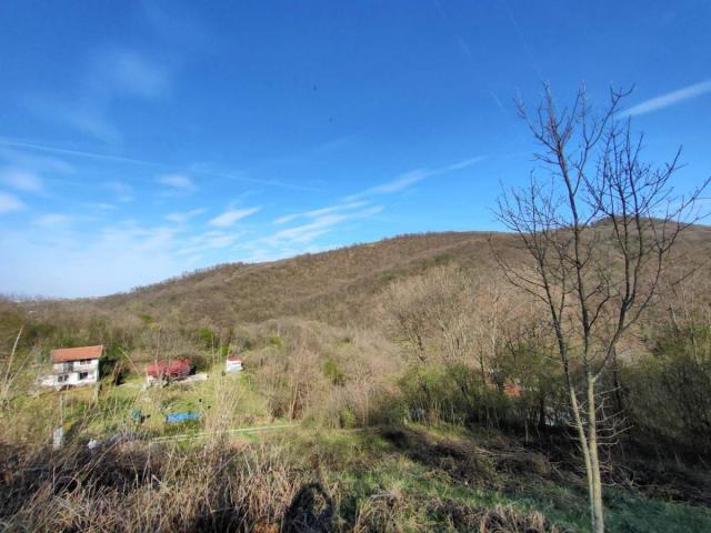 Građevinski plac 1350m Fruška gora Rakovac na vrhu brda za gradnju kuće