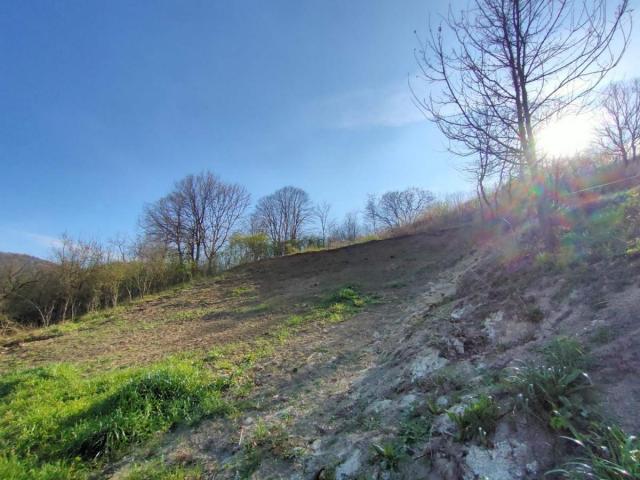 Građevinski plac 1350m Fruška gora Rakovac na vrhu brda za gradnju kuće