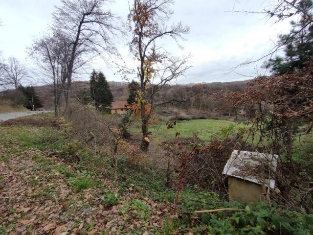 Građevinski plac 13700m Vrdnik blizu Vrdničke kule  Extra lokacija