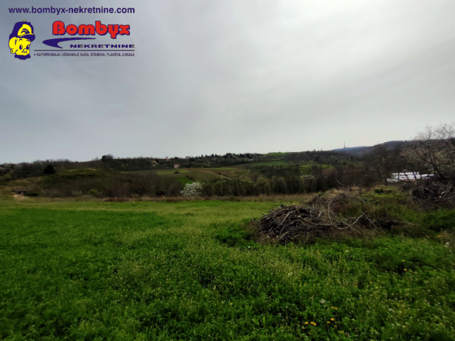 Građjevinski plac 2367m Fruška gora, Sr. Kamenica Čardak TOP LOKACIJA