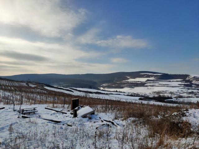 Vinograd 30000m (3ha) Fruška gora Sviloš TOP lokacija