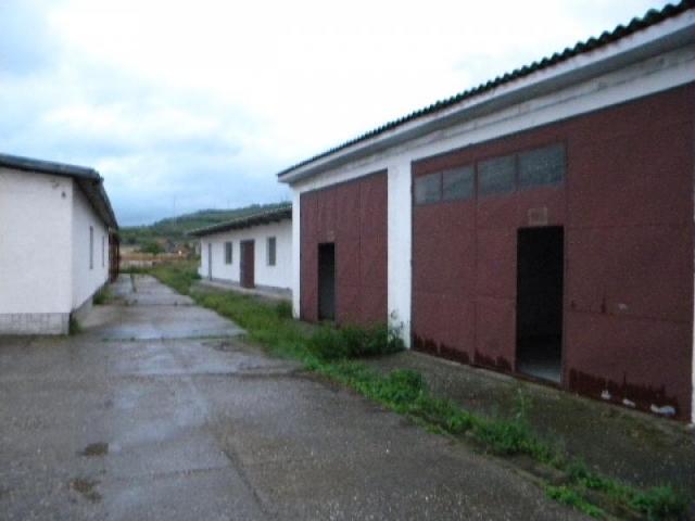 Izdavanje, Magacin, 3500m2 , Mislođin