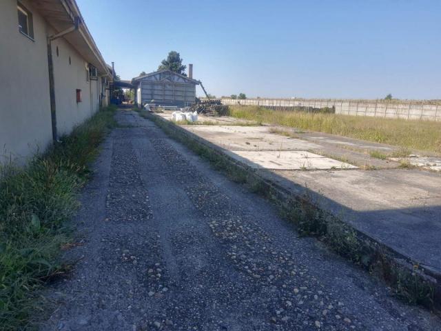 Prodaja, Magacin, 2090m2 , Šimanovci