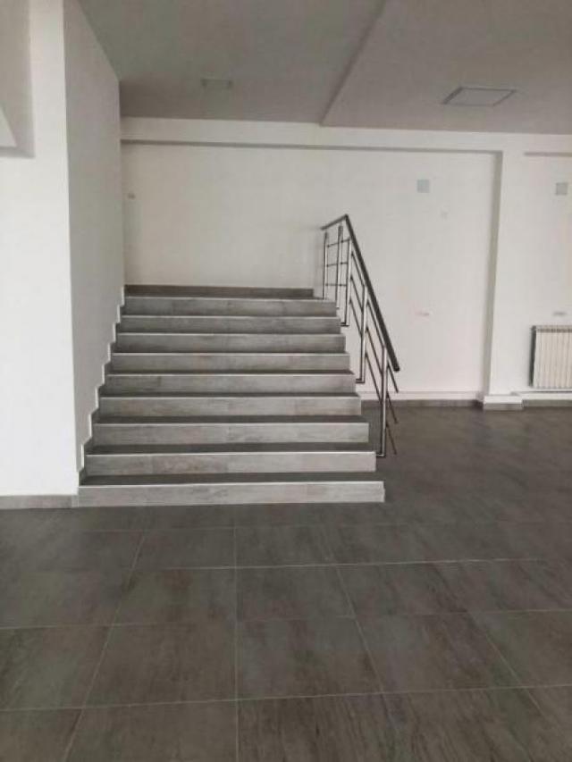 Izdavanje, Poslovni prostor, 280m2 , Nova Galenika