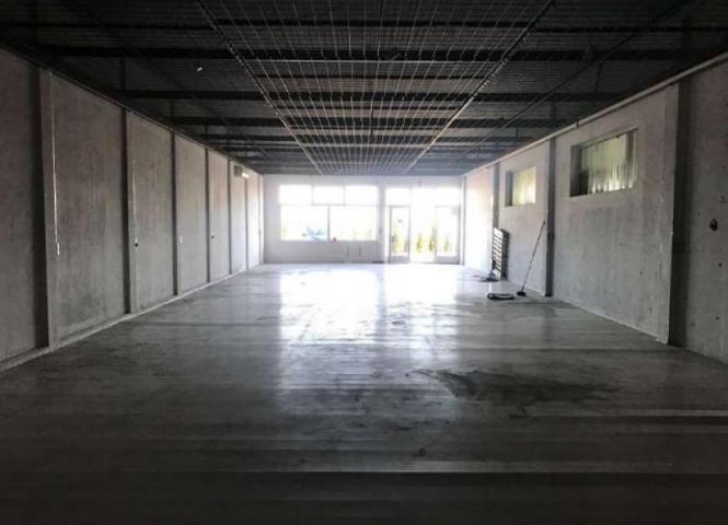 Izdavanje, Magacin, 300m2 , Altina