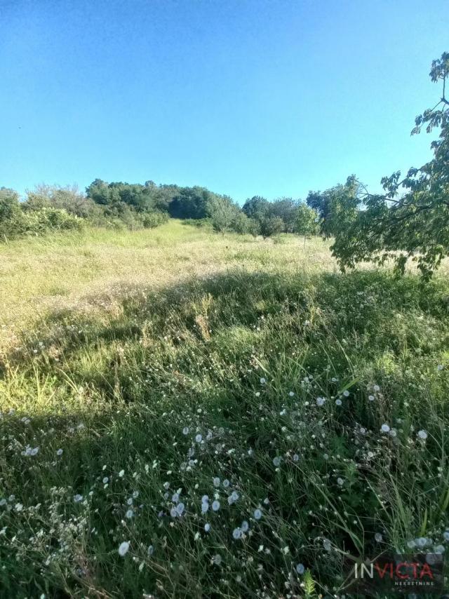 Građevinsko zemljište-Alibegovac