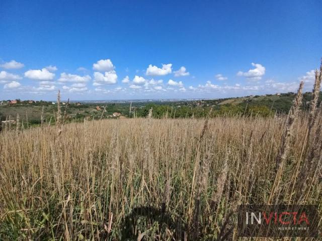 Fruška gora-parcela sa pogledom na grad