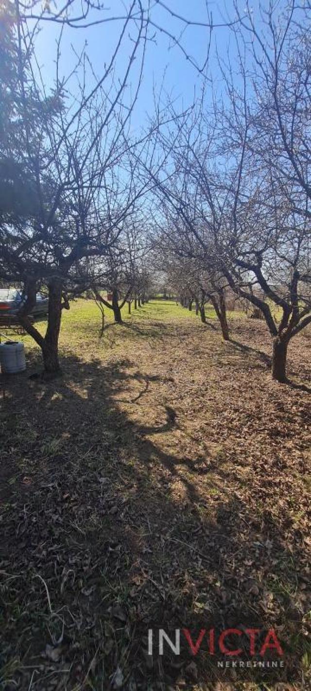 Građevinske parcele - Puckaroš, Petrovaradin