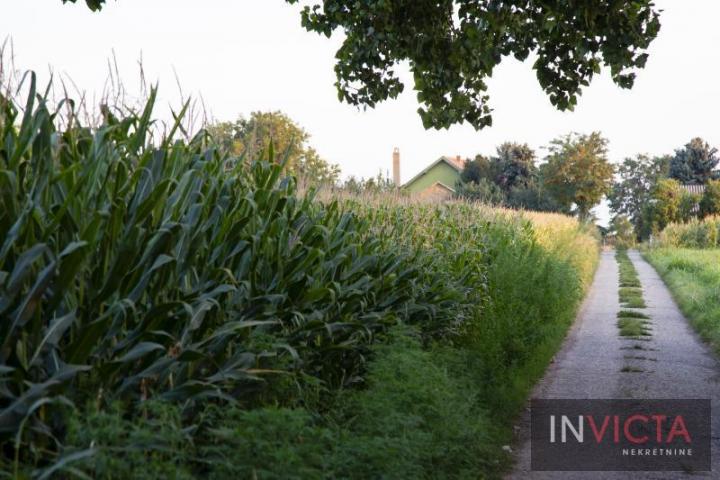 Porodična kuća sa zemljištem-imanjem