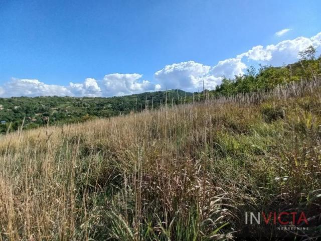 Fruška gora-parcela sa pogledom na grad