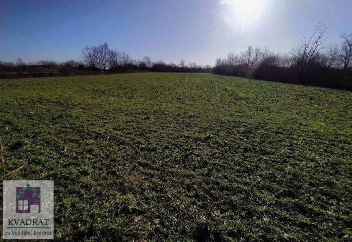 Građevinsko zemljište 1, 30 ha, Obrenovac, Piroman – 25 000 €