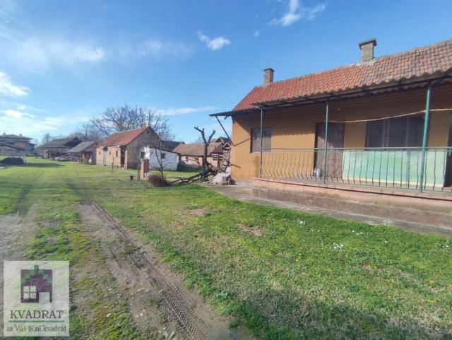 Kuće 220 i 163 m², 35 ari, Obrenovac, Zabrežje – 170 000 €