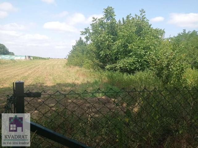 Kuća 46m2+38m2, 73 ara, Obrenovac, Zvečka, 75000€