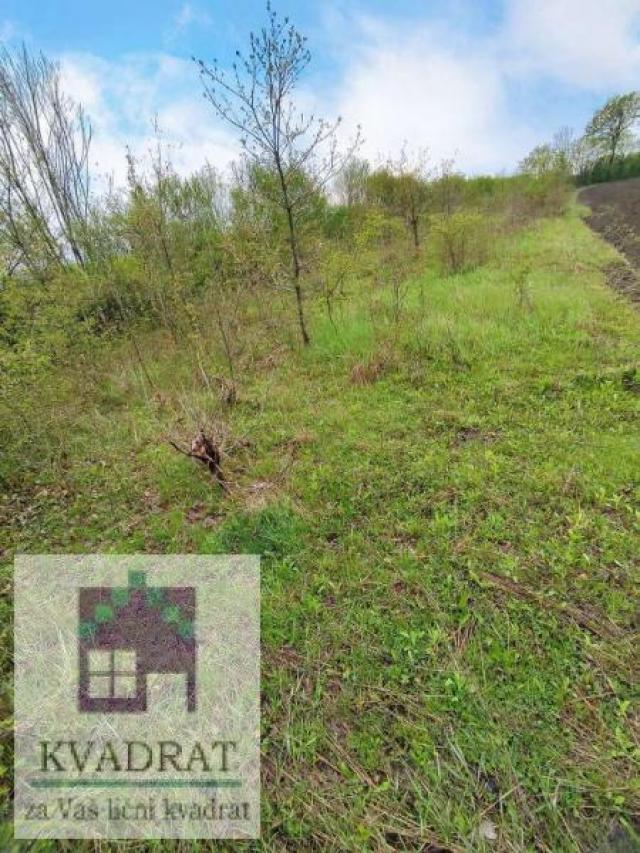 Građevinski plac 21  ar, Obrenovac, Veliko Polje– 6 500 €