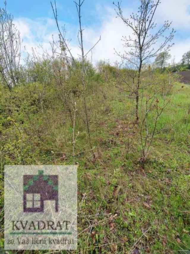 Građevinski plac 21  ar, Obrenovac, Veliko Polje– 6 500 €