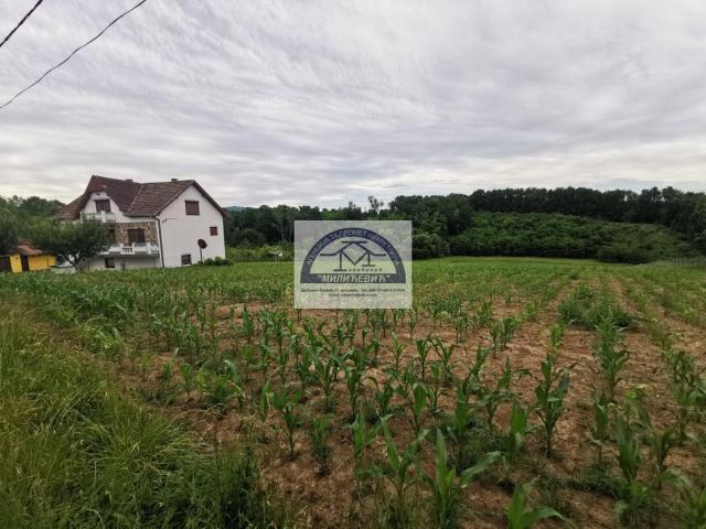 Prodaja, Kuća, 290m2 , Kragujevac