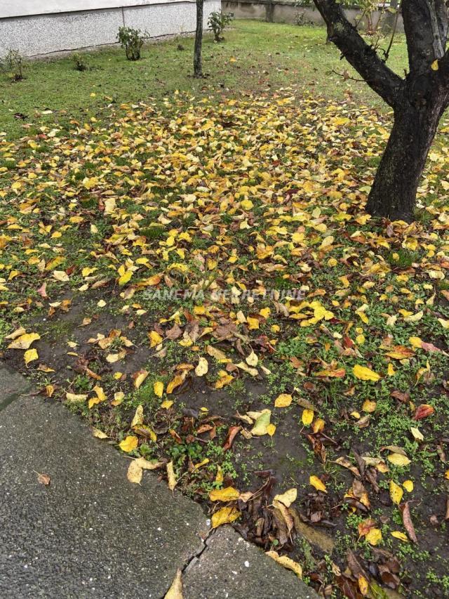 PORODIČNA KUĆA! MLAKE