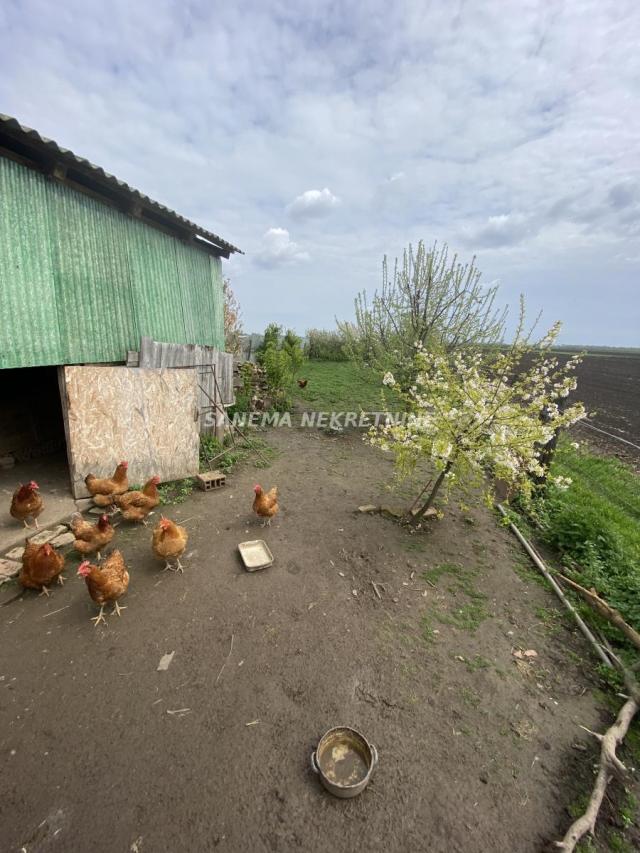 JEDINSTVENA PONUDA! KUĆA!