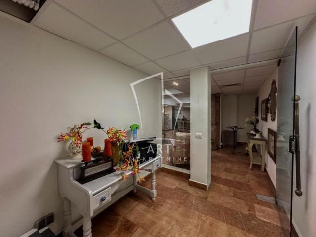 Poslovni prostor, Vračar, mereno 500m2 ID#6846