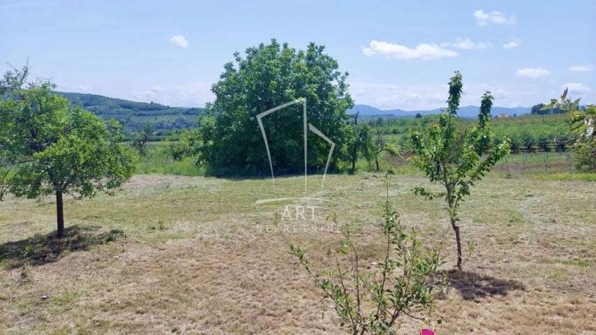 Topola, Božurnja, 89m2+38m2, 56ari ID#7523