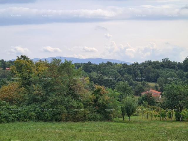 Kuća Stare ruševne kuće na velikom terenu od 6880 m2. 