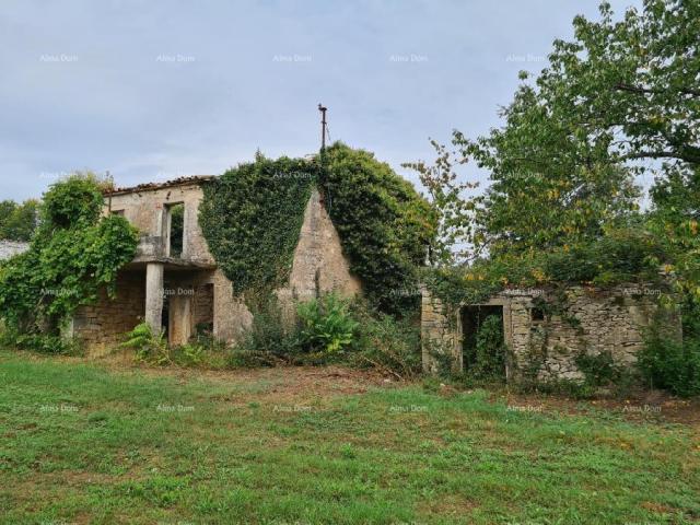 Kuća Stare ruševne kuće na velikom terenu od 6880 m2. 