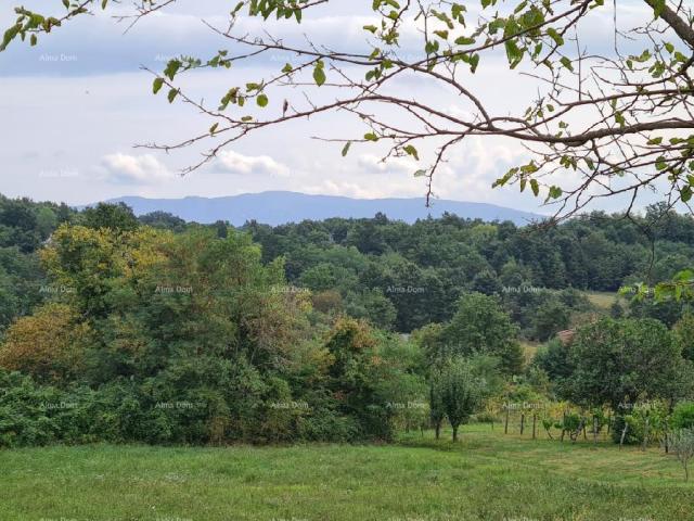 Kuća Stare ruševne kuće na velikom terenu od 6880 m2. 