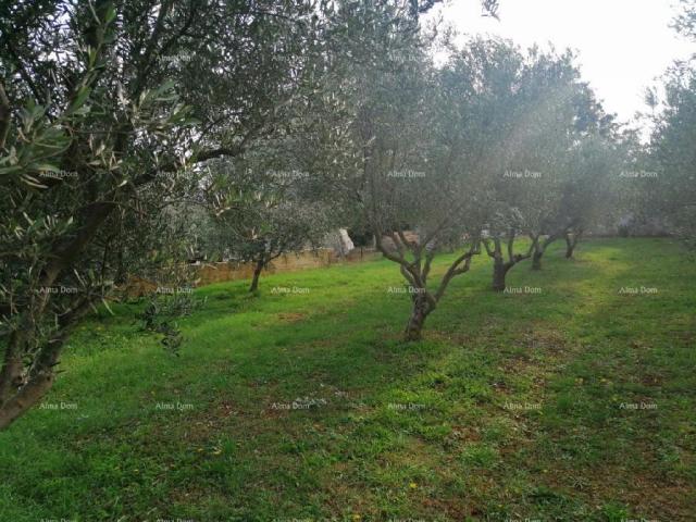 Building land Marčana Vareški