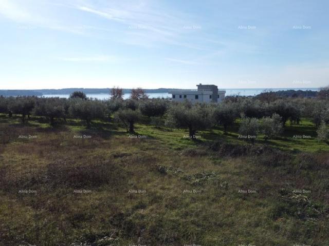 Haus Doppelhaushälfte - Residenz Novi Home Novigrad