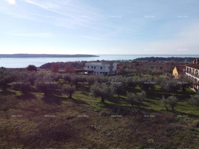 Haus Doppelhaushälfte - Residenz Novi Home Novigrad