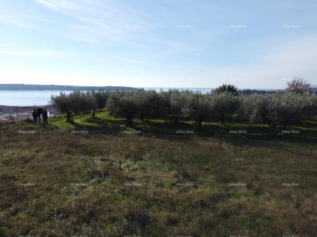 Haus Doppelhaushälfte - Residenz Novi Home Novigrad