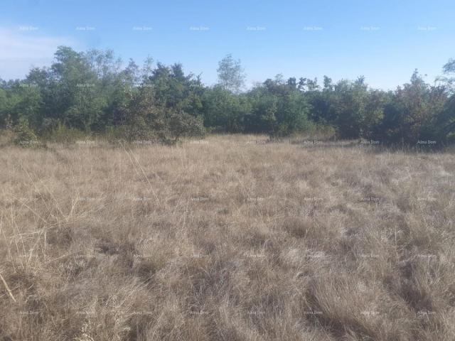 Agricultural land