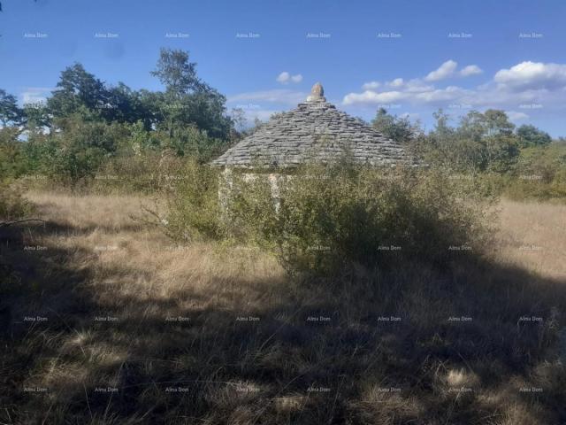 Agricultural land