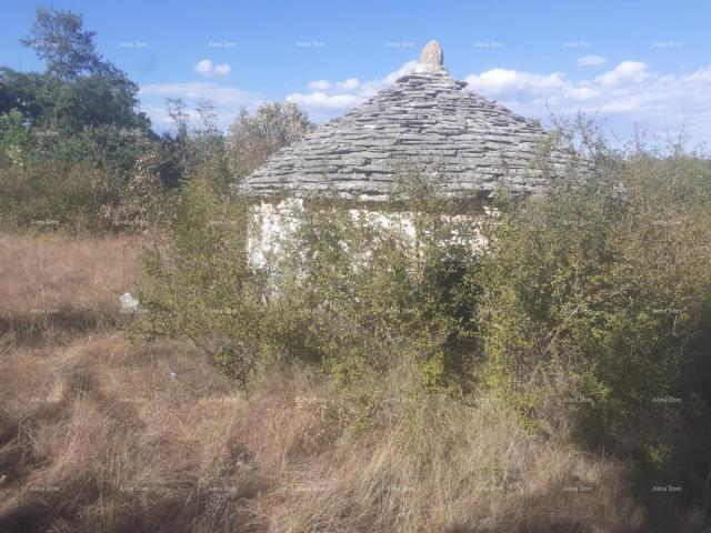 Agricultural land