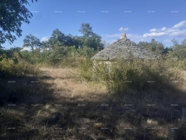 Agricultural land