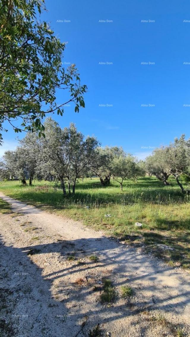 Agricultural land