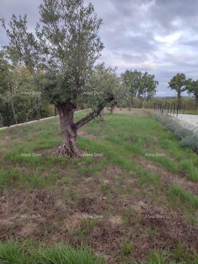 Kuća Predivna Luksuzna vila u Labinu!