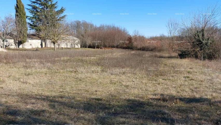 House A building plot for sale near Žminj with an outbuilding.