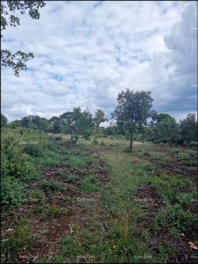 Agricultural land We are selling 8 plots