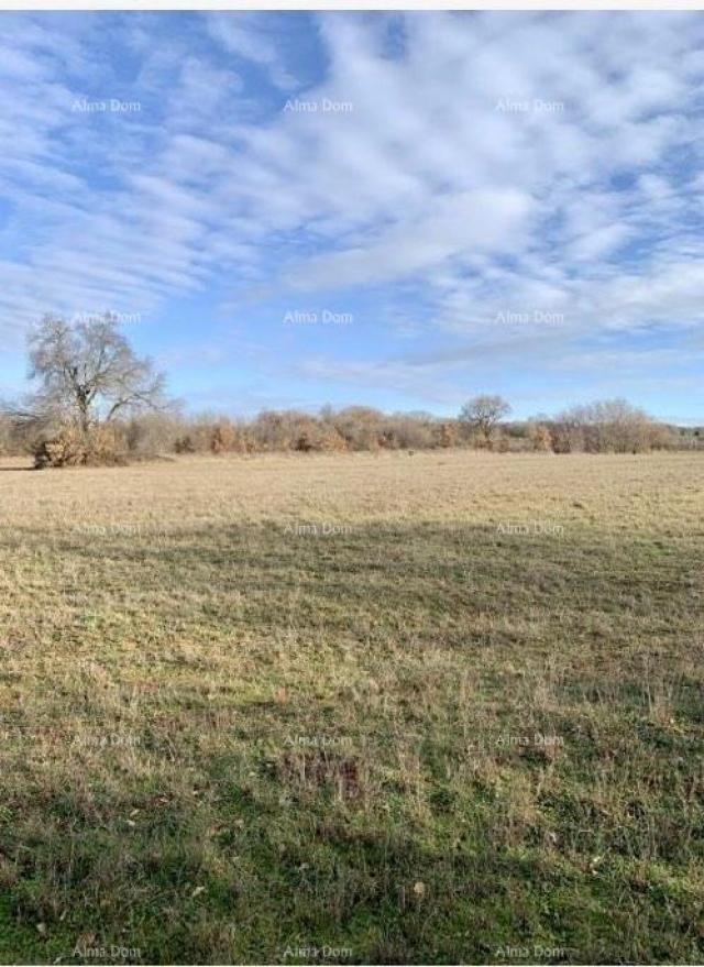 Agricultural land