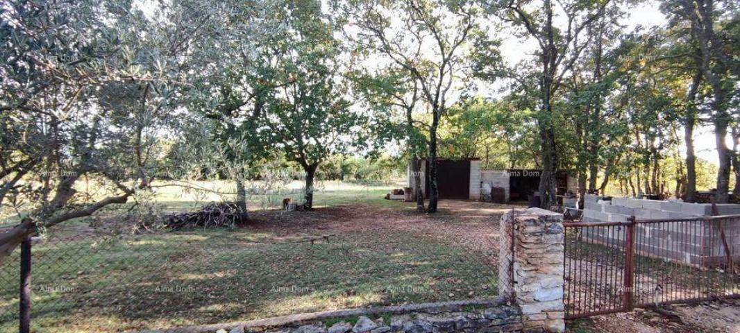 House An agricultural plot with a legalized building is for sale