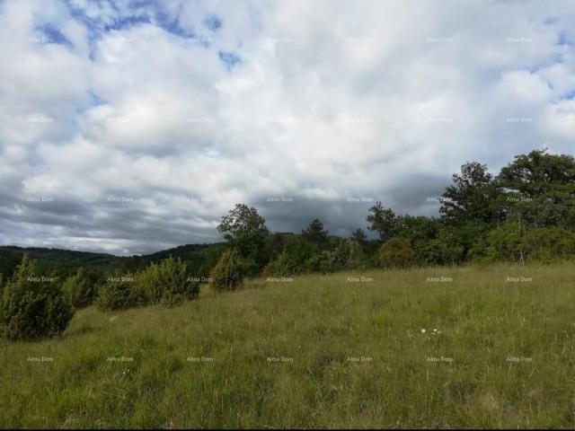 Building land Building land for sale in Loborica, surface area 976 m2.