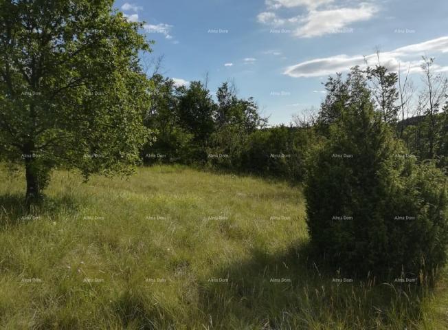 Building land Building land for sale in Loborica, surface area 976 m2.