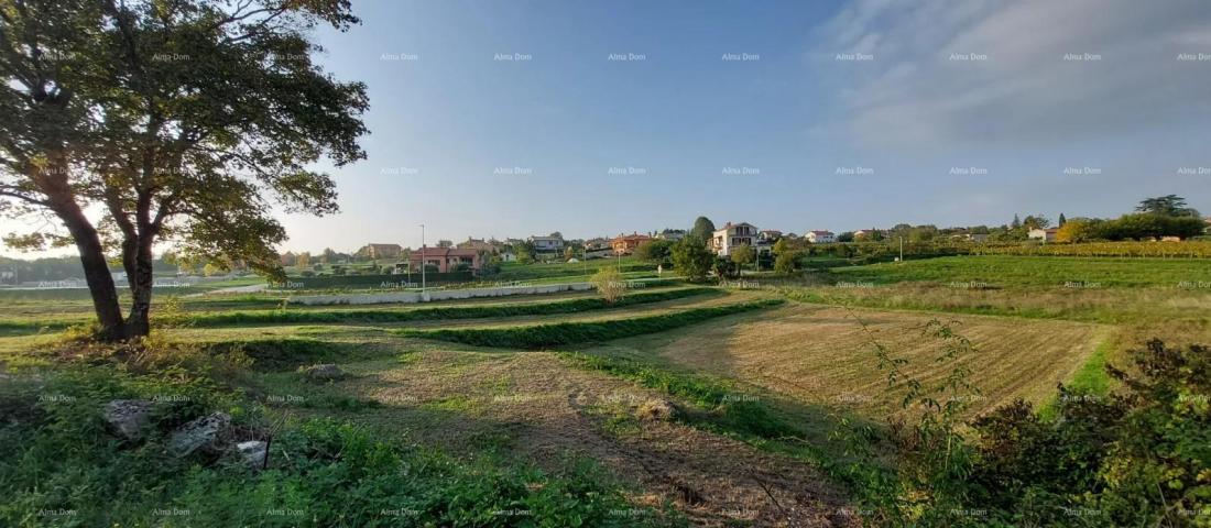 Building land Building land Pazin - 3,153m2